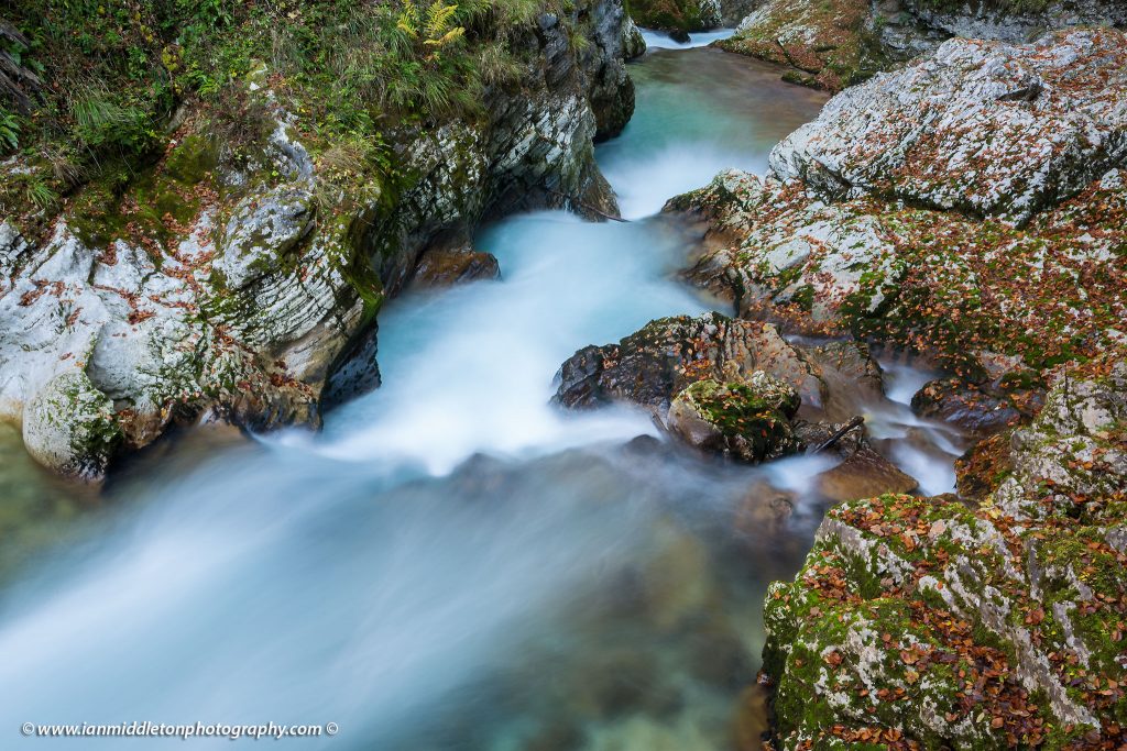 The Soteska Vintgar gorge, Gorje, near Bled, Slovenia. The 1.6 km long Vintgar gorge has been carved through the vertical rocks of the Hom and Bort hills by the Radovna River.
