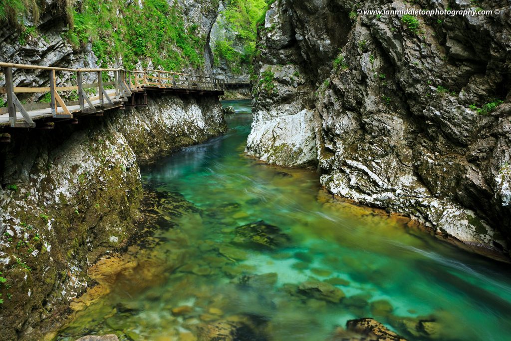 Blejski Vintgar gorge, Gorje, near Bled, Slovenia. The 1.6 km long Vintgar gorge has been carved through the vertical rocks of the Hom and Bort hills by the Radovna River.