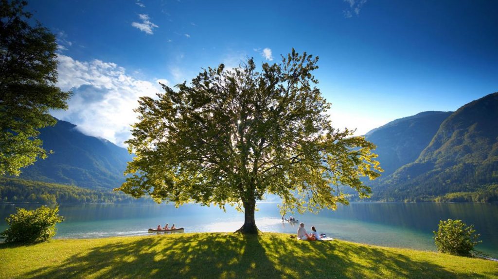 Lake Bohinj - day trips from Ljubljana