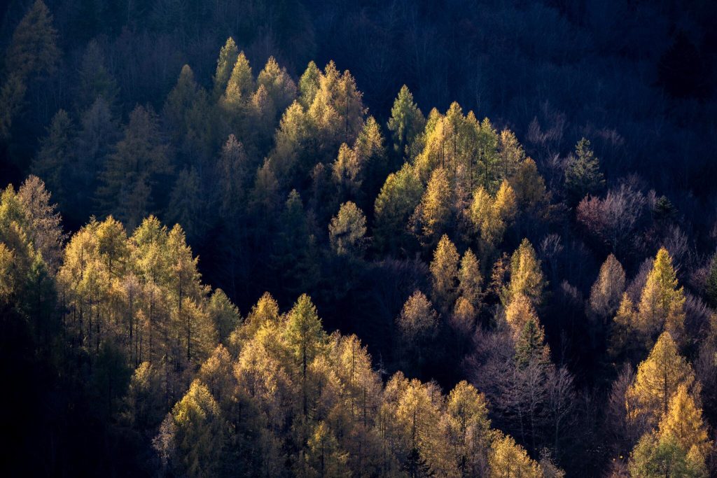 Slovenia